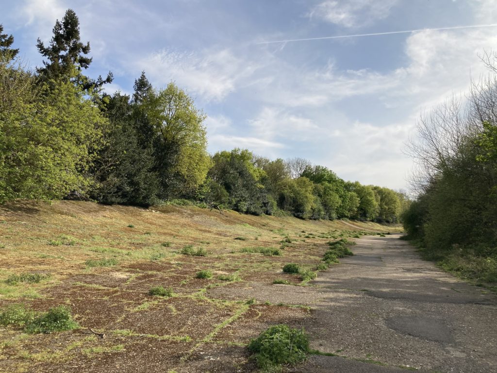 Photograph of the banking of the historic race track