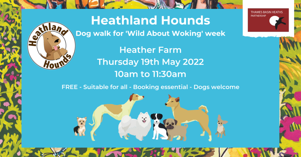 Heathland Hounds banner with cartoon dogs