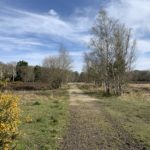 Photo of a wide, main track across the heath