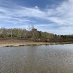 Photo of a large pond surrounded by heathland habitat