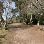 Photo of one of the wooded paths around the boundary