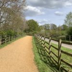 Photo of wide track with fences either side.