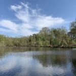 Pretty photo of a large pond surrounded by trees