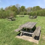 Photo of six picnic benches