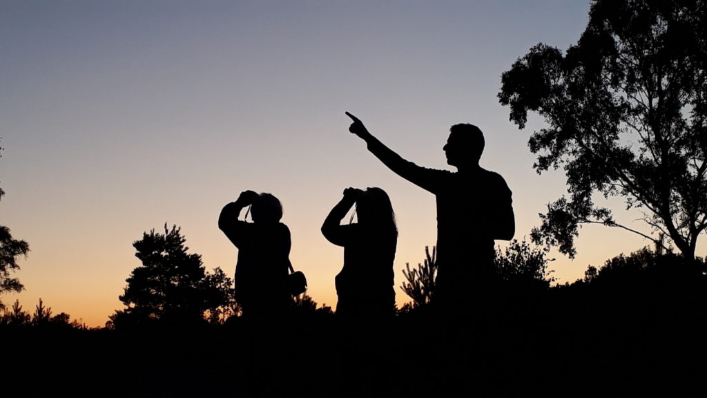 Photo of people with binoculars silhouetted against a dusk sky