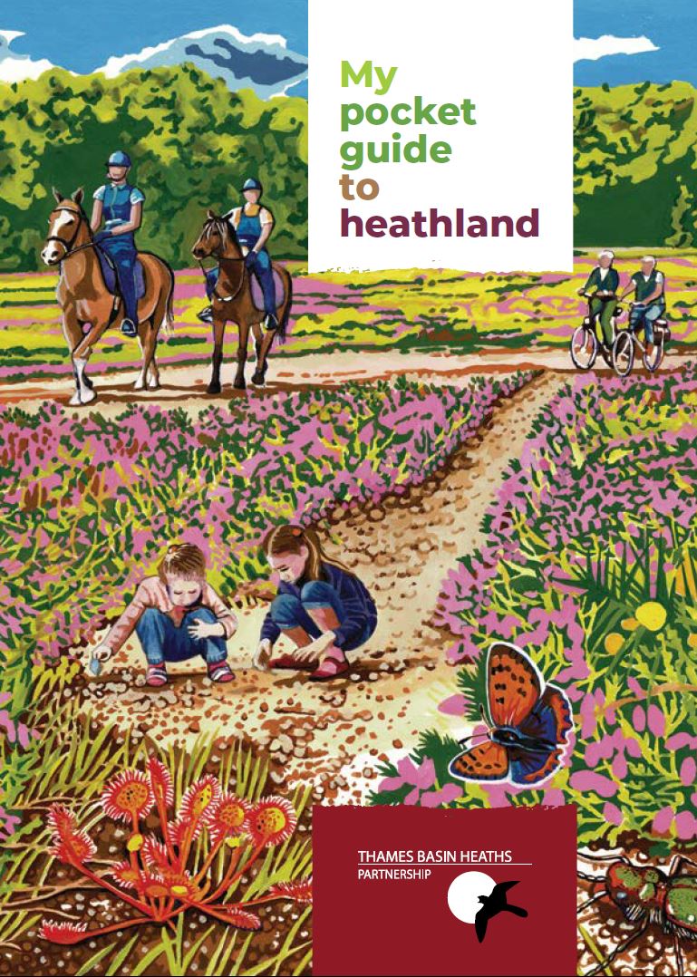 My pocket guide to heathland is an A6 booklet about heathland species, aimed at children but suitable for anyone.
