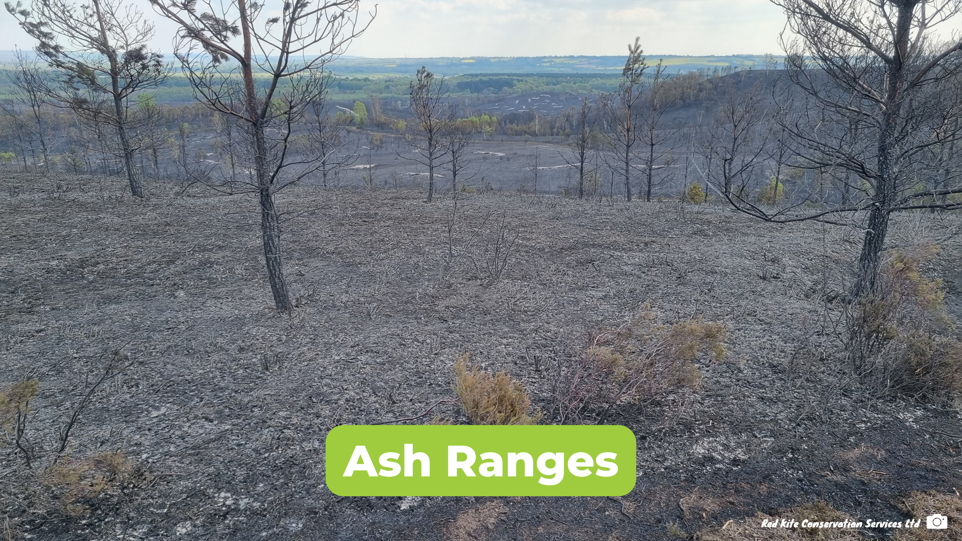 Photograph of the blackened landscape at Ash Ranges