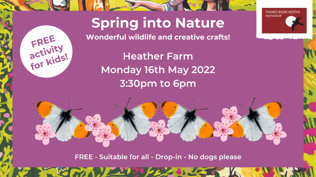 Spring into Nature banner with butterflies and blossom