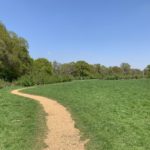 Photo of a gravel path leading through a green meadow