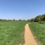 Photo of a gravel path leading through a green meadow