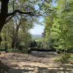 Views out across Surrey, with trees just coming into leaf