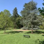 Photo of a picnic spot, with benches and attractive old trees