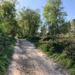 Photo showing a sandy path through springtime countryside