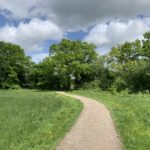 Photo of a path through a meadow