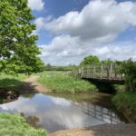 Photo of a bridge crossing a stream