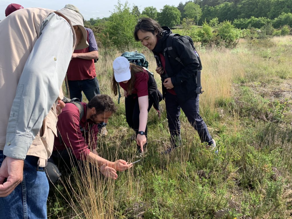 Some of the team crouched down looking for a Woodlark nest