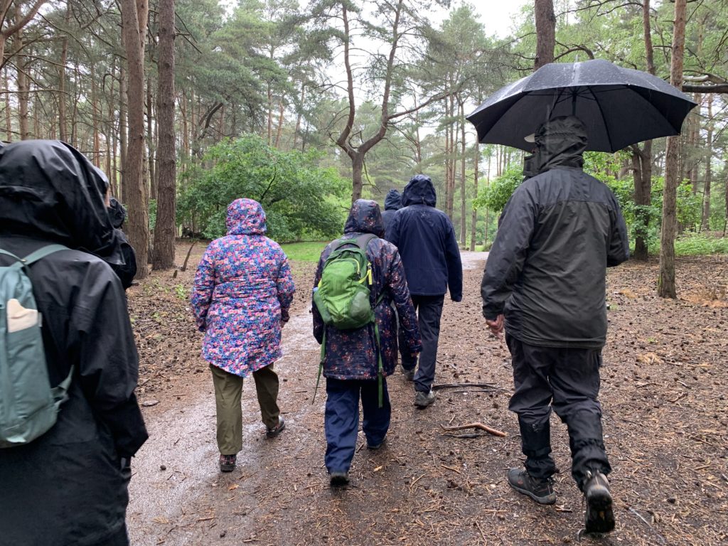 Soggy people walking along at Horsell Common with umbarellas and hoods up