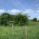 Photo of a person sitting on a bench, looking across the meadow.