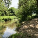 Photo of a river running past overhanging willow trees.