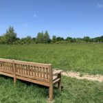 Photo of a large wooden bench looking out across the main meadow.