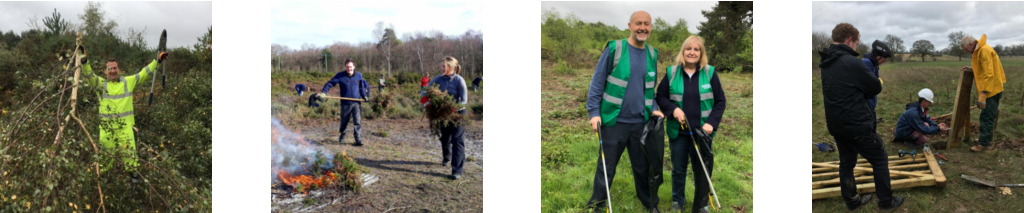 A collection of photographs of people taking part in conservation activities