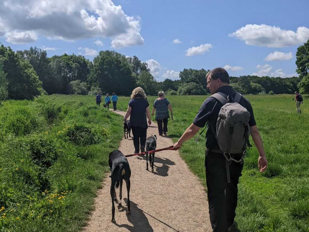 Dog walkers in the sun shine at Heather Farm