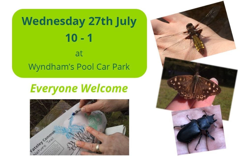 Banner advertising the Family Nature Day with photos of a dragonfly, a butterfly, a beetle and a brass rubbing.