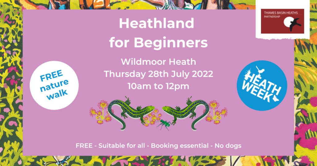 Pretty banner advertising a nature walk to learn about heathland