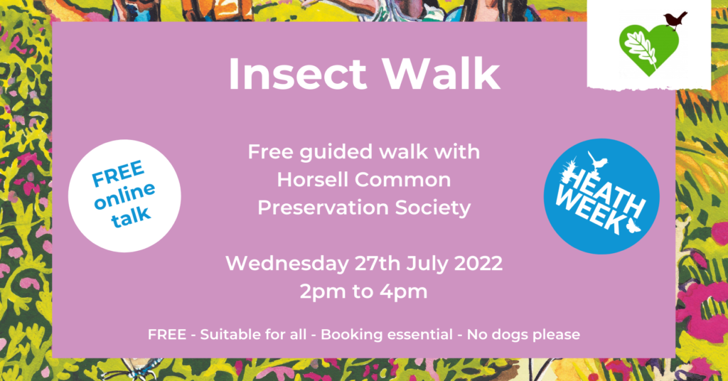 Pretty banner advertising an insect walk