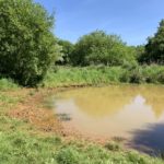 A photo of a muddy looking pond.