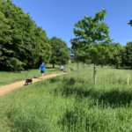 Photo of walkers on a gravel path.