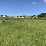 Photo of a meadow on the edge of housing.