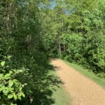 Photo of a gravel path through woodland.
