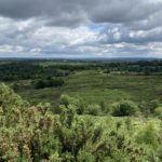 View out across a vast green landscape from the main view point.