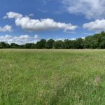 Panoramic photo of the meadows, with lovely blue sky.