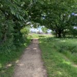 Photo of a path with over hanging trees and a church spire in the distance.