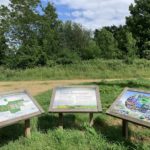 Photo of three information boards on display at the entrance, with a map board, an information board and examples of the wildlife thought to live here.