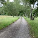 Photo of a gravel access track.