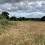 Photo of a summer meadow with far reaching views into the distance.