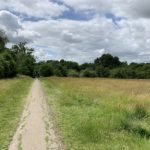 Photo of a surfaced path heading through a meadow.