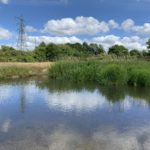 Photo of a shallow section of the River Blackwater.