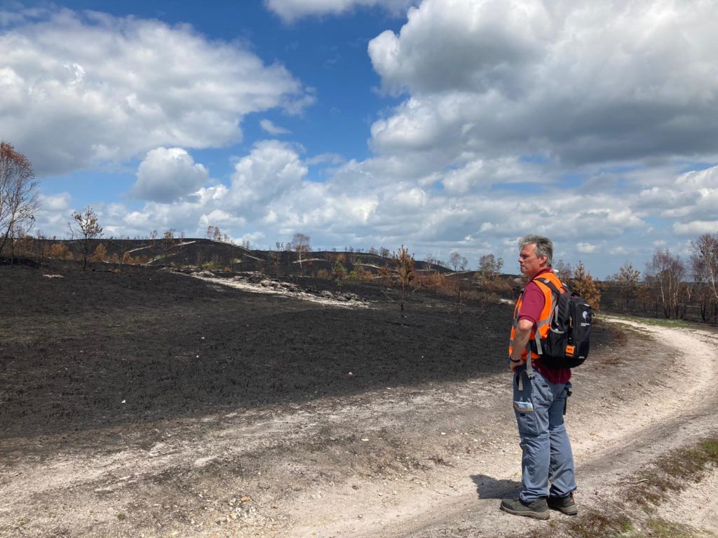 Photo of Warden Steve looking at the blackened landscape caused by a fire