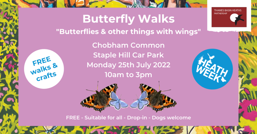 Pretty banner advertising the butterfly walks