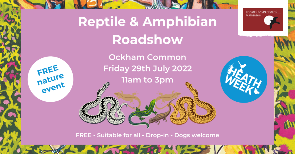 Pretty banner advertising the reptile & amphibian event