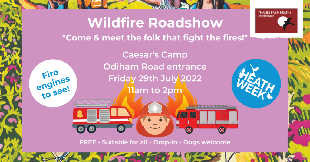 Pretty banner advertising the wildfire roadshow event