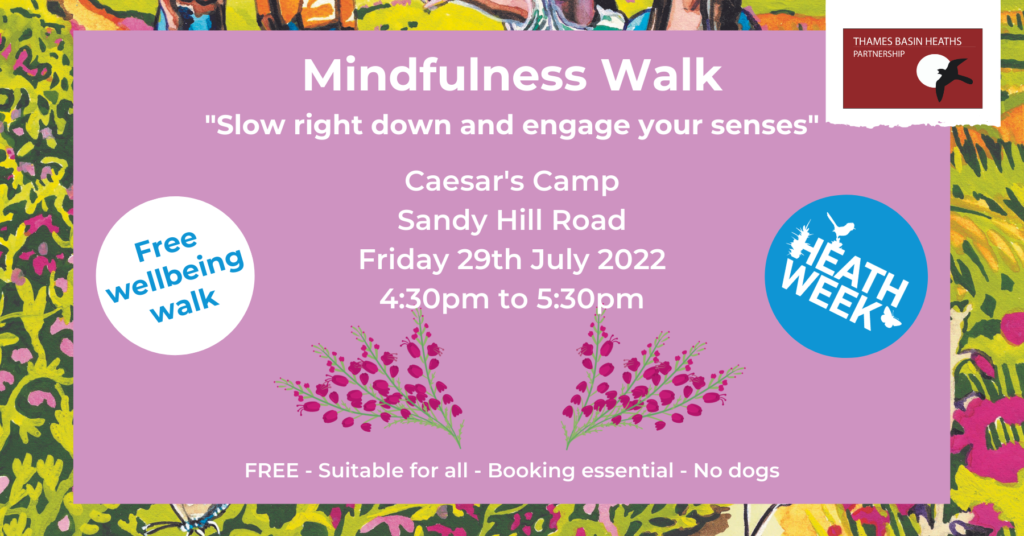 Pretty banner advertising the mindfulness walk