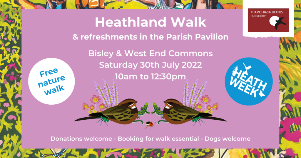 Pretty banner advertising the heathland walk at Bisley