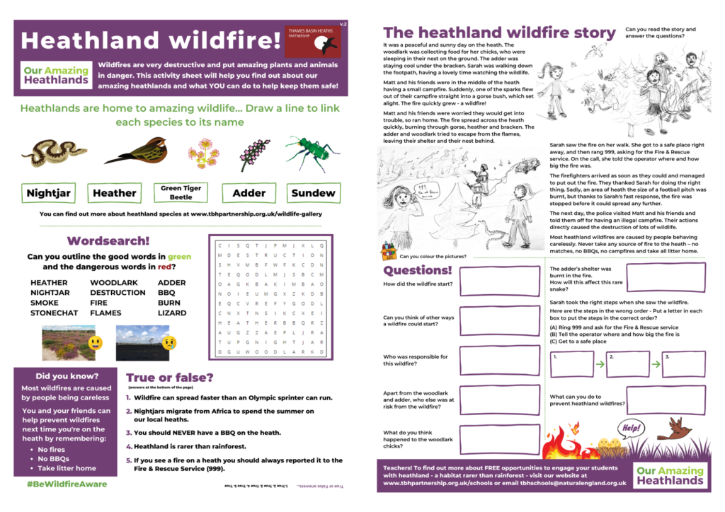 Images of the heathland wildfire activity sheet