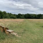 Photo of the open meadow at Rowhill.