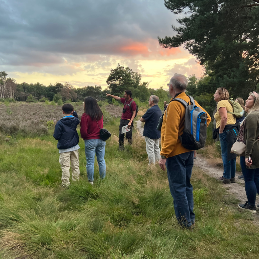 Photo of a group of people on the edge of the heath at dusk